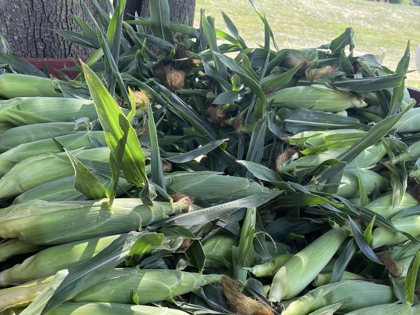 Seasonal Crops, Fresh Produce | Flint & Otisville, MI | Johnson Farms